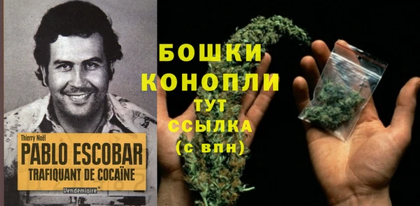 тгк Осинники
