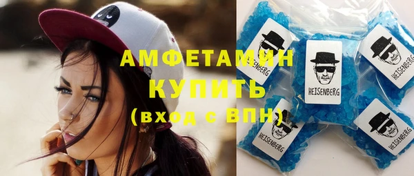 индика Протвино