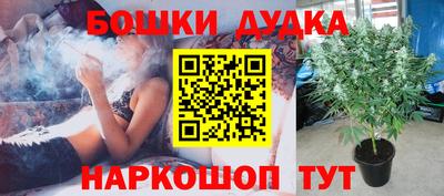 наркотики Аргун