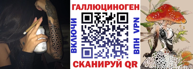 omg как зайти  Барнаул  Галлюциногенные грибы Cubensis 