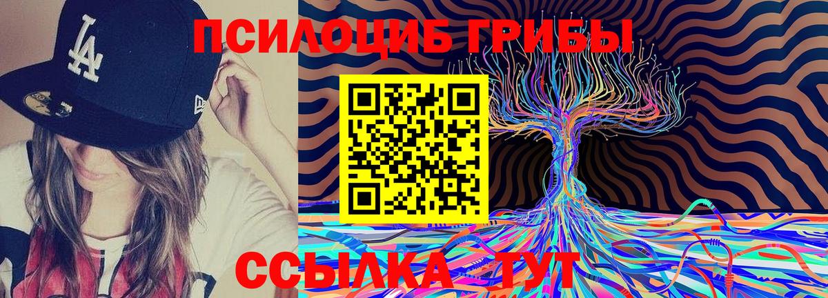 Галлюциногенные грибы Psilocybine cubensis  Галлюциногенные грибы MAGIC MUSHROOMS  Барнаул  Вход с VPN 