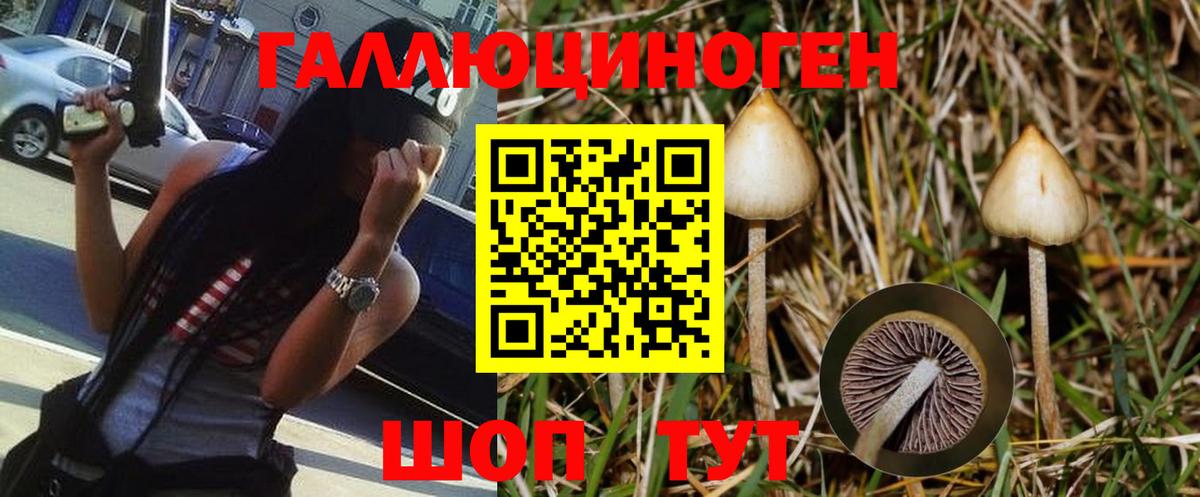 Галлюциногенные грибы Magic Shrooms Барнаул