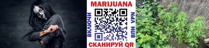 Конопля индика  где купить наркоту  Барнаул 